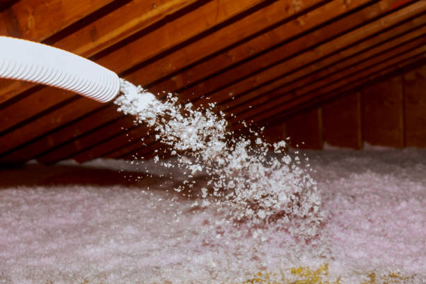 Best Spray Foam Insulation in Lamesa, TX