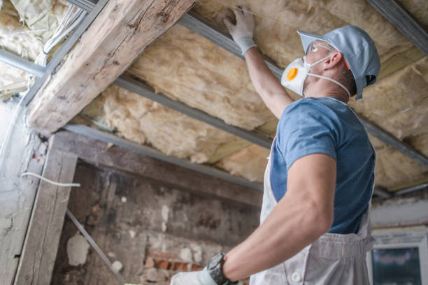 Best Cellulose Insulation in Lamesa, TX
