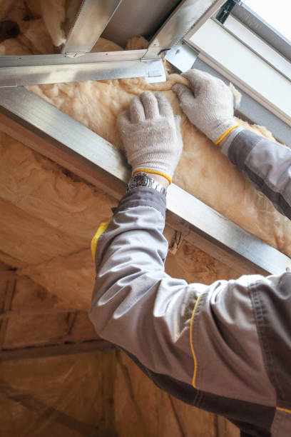 Best Spray Foam Insulation in Lamesa, TX