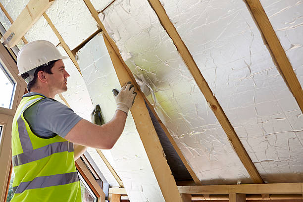 Best Commercial Insulation in Lamesa, TX